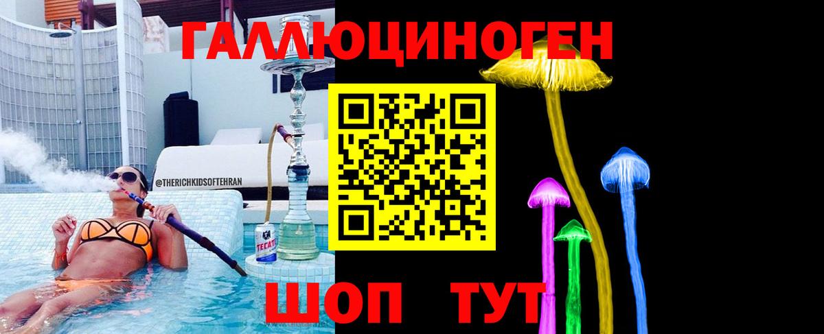 Псилоцибиновые грибы Psilocybine cubensis Конаково